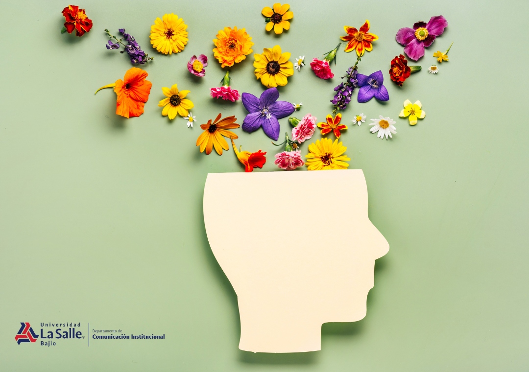 El cuidado de la Salud Mental es tarea diaria