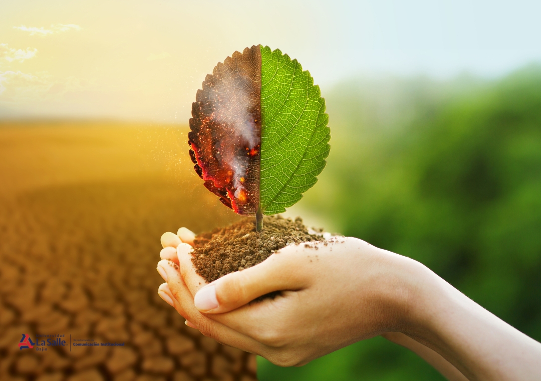 Nuestra salud, reflejo del medio ambiente